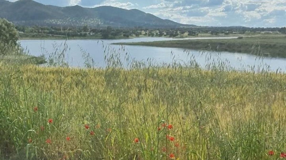 Uitzicht op het volle Embalse de Sierra Boyera in Andalusië, met graanvelden en bergen op de achtergrond – symbool voor water en stilte bij Cortijo La Vista